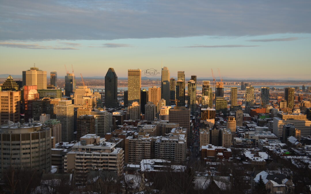 Balade au Parc du Mont Royal – Belvédère Kondiaronk