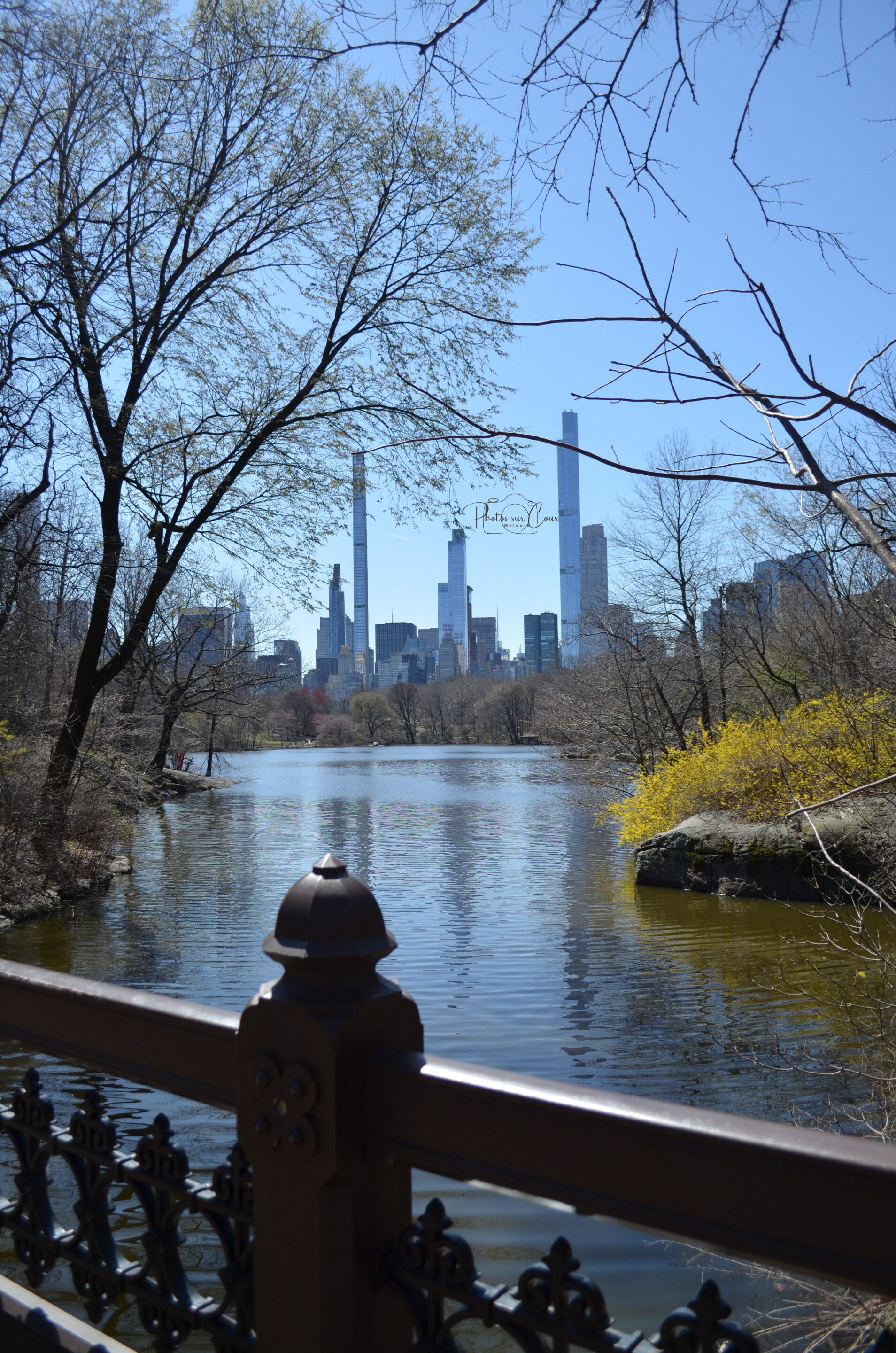DSC_0270 Central Park