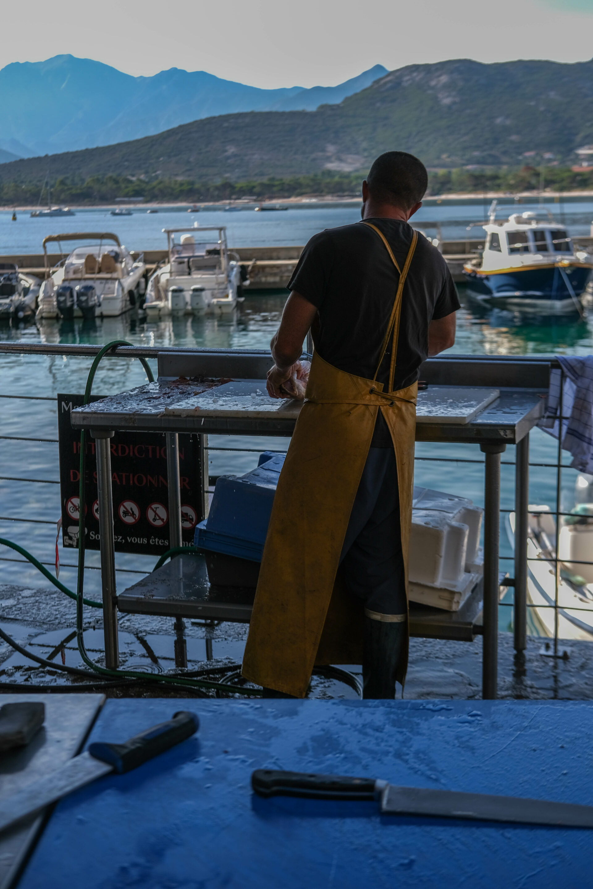 CORSE 2023-28