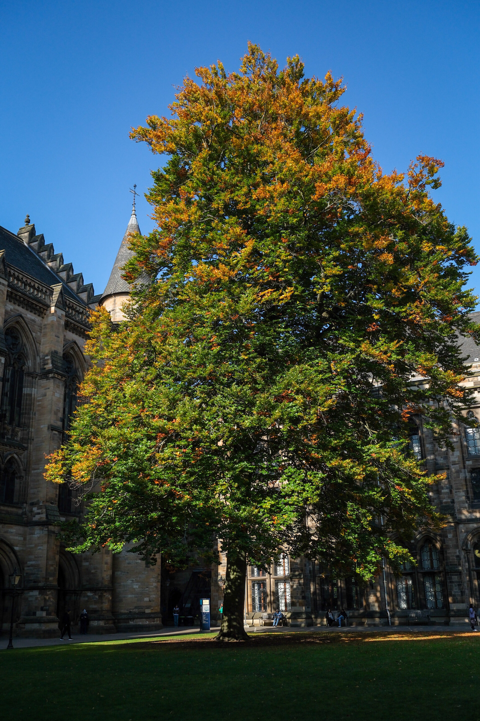 Université de Glasgow - Un peu de Poudlard en Ecosse