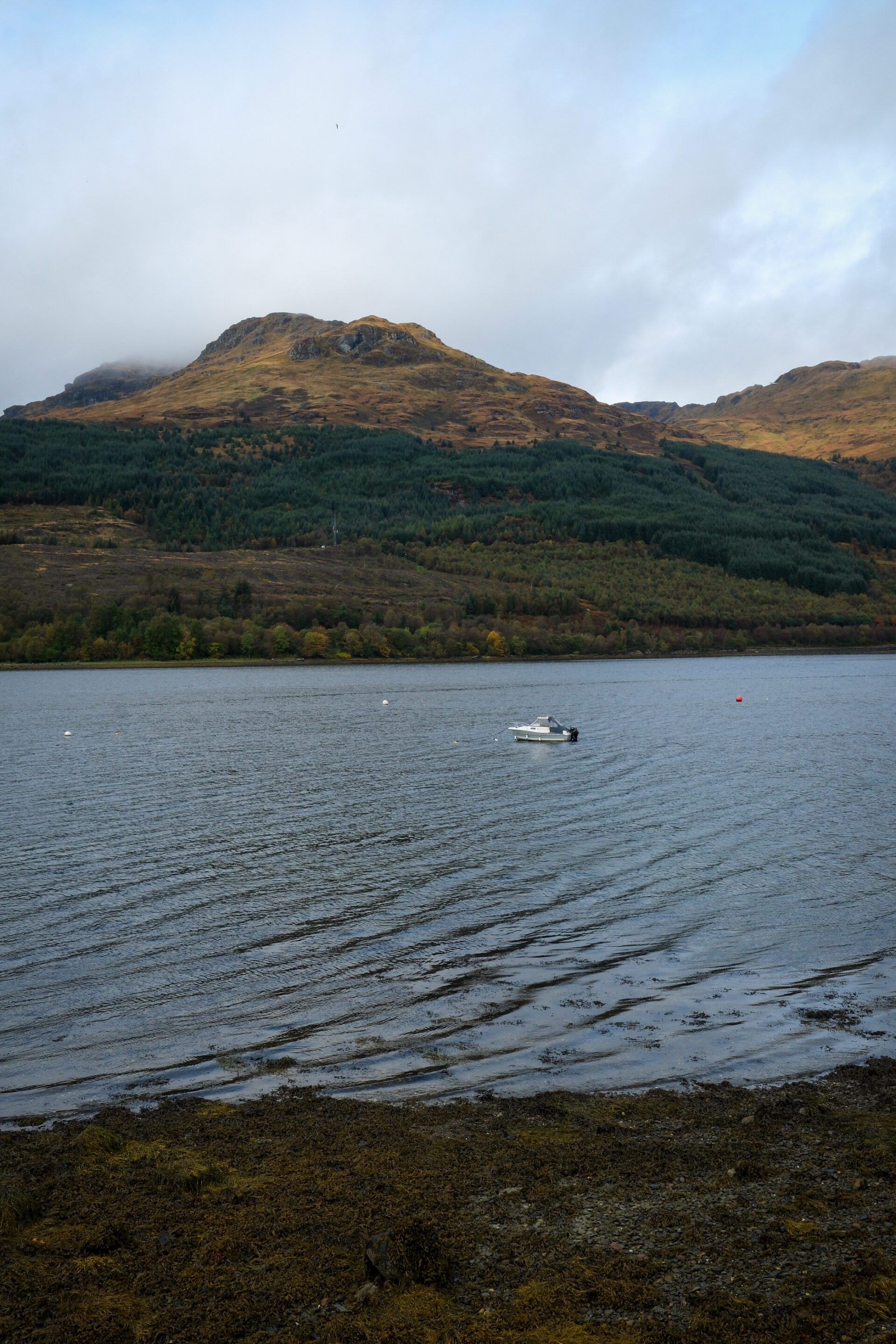 Loch Arrochar