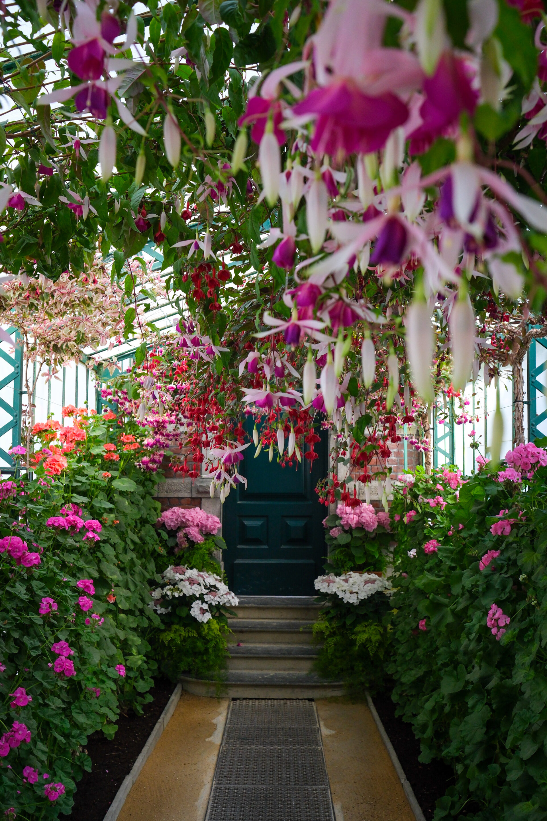 Fleurs Serres de Laeken Bruxelles