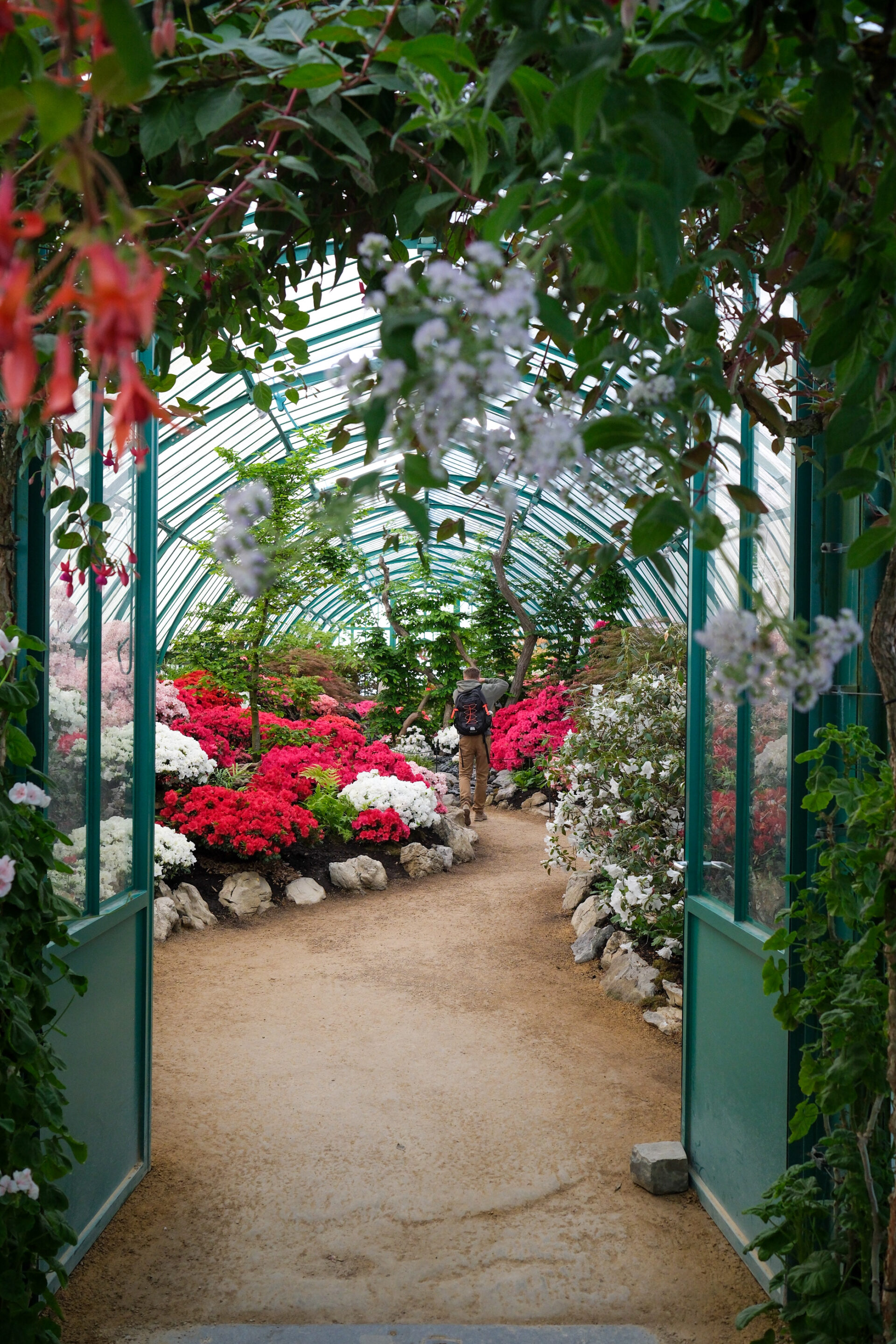 Serres royales de laeken bruxelles
