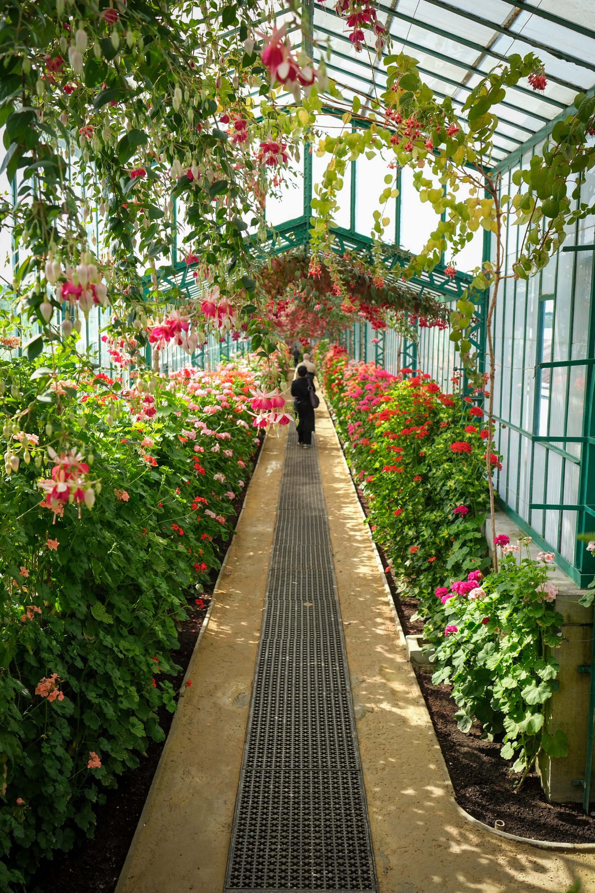 Couloirs serres royales de laeken