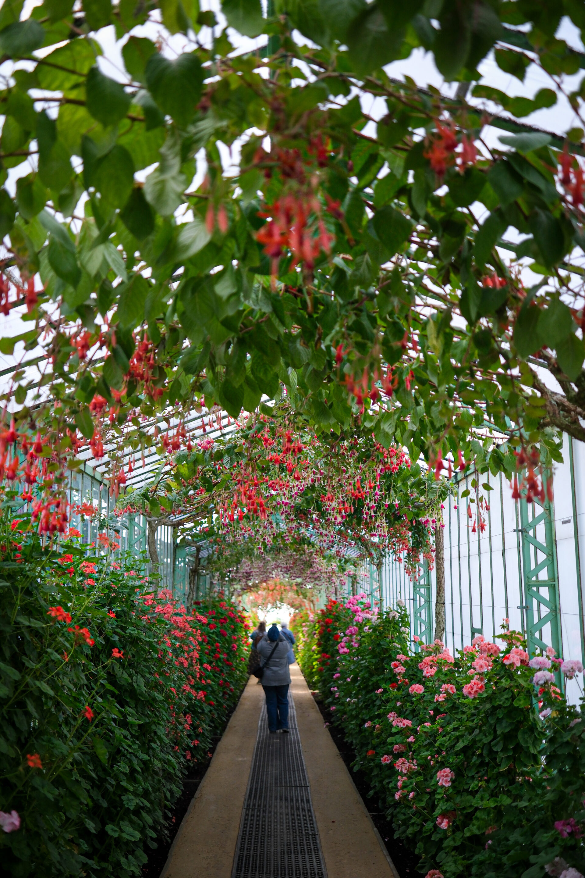 Couloirs serres royales de laeken