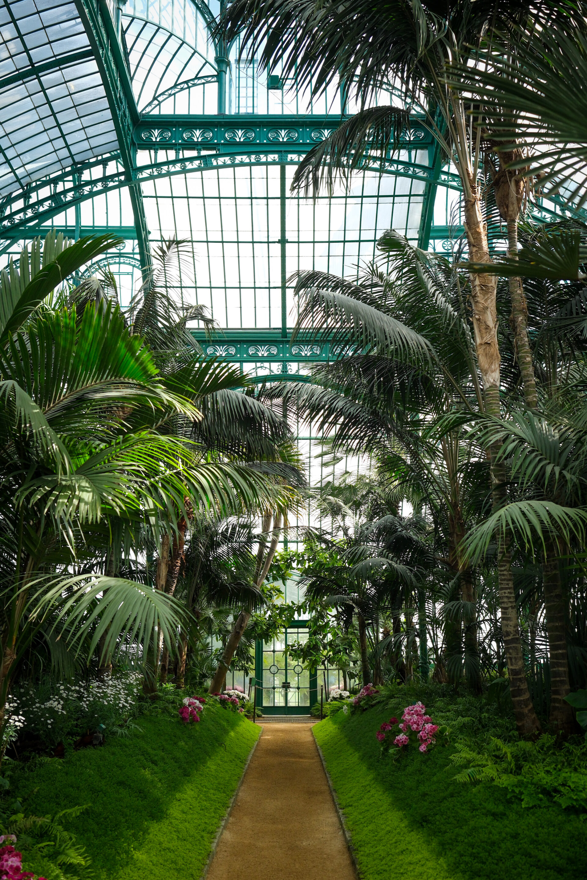 Serres Royales de Laeken, serre tropicale