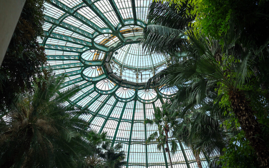 Visite des Serres royales de Laeken : un monde enchanté pour se couper du quotidien