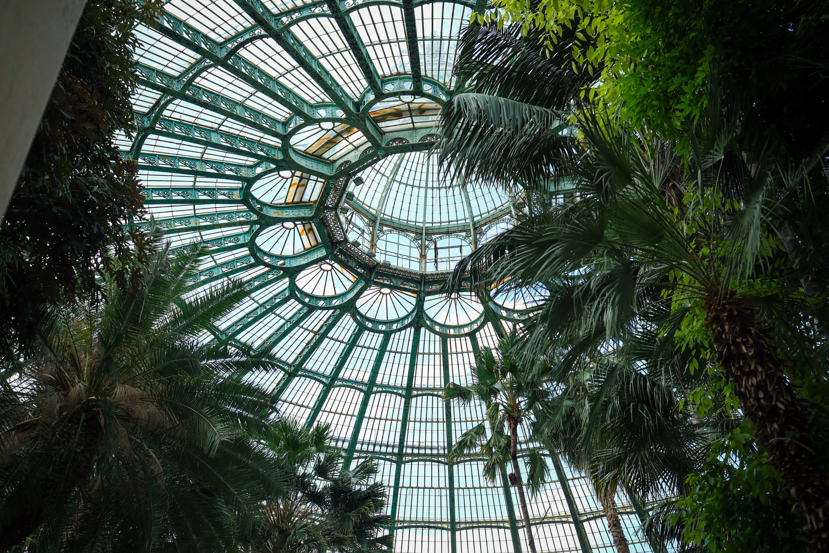 Les serres royales de Laeken